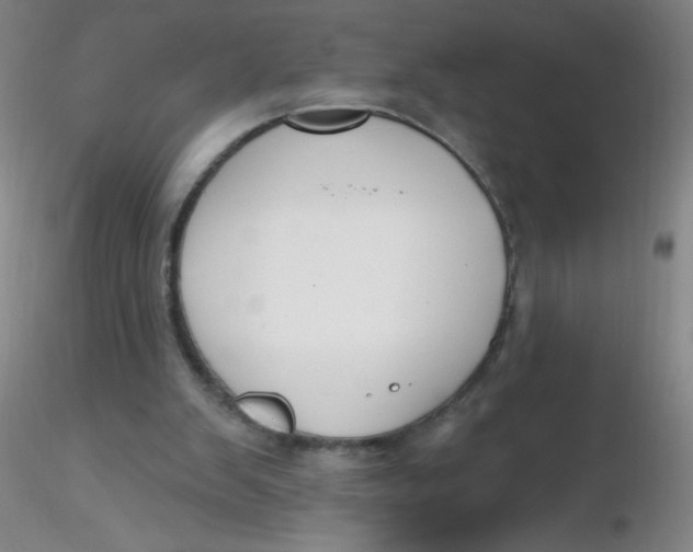 X0000116300103200912211910