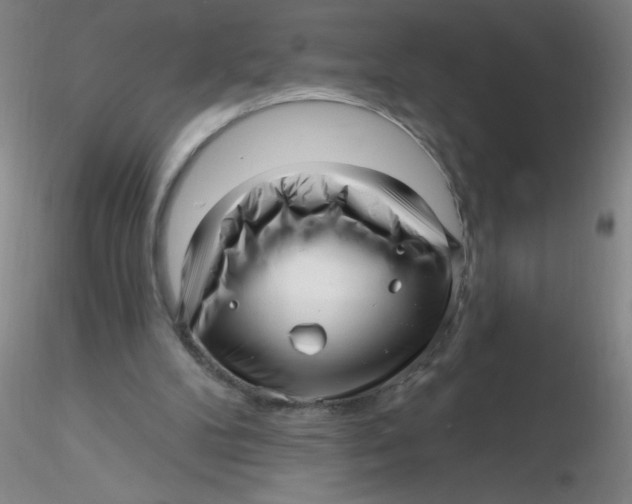 X0000116300104200912211910