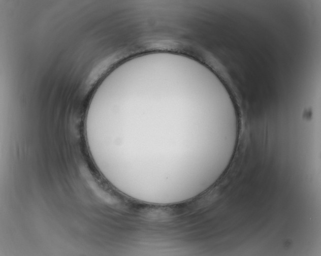 X0000116300106200912211910