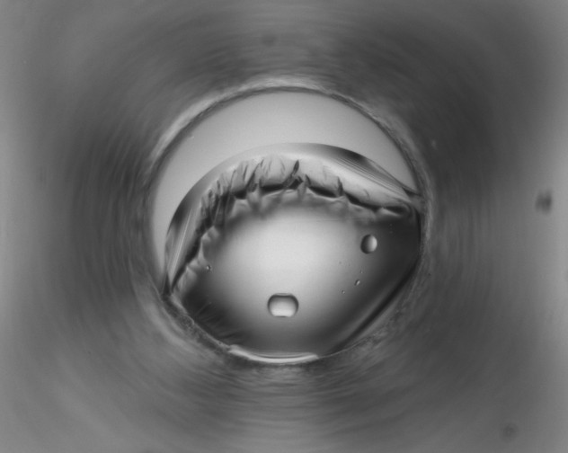 X0000116300108200912211910