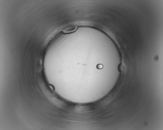 X0000116300109200912211910