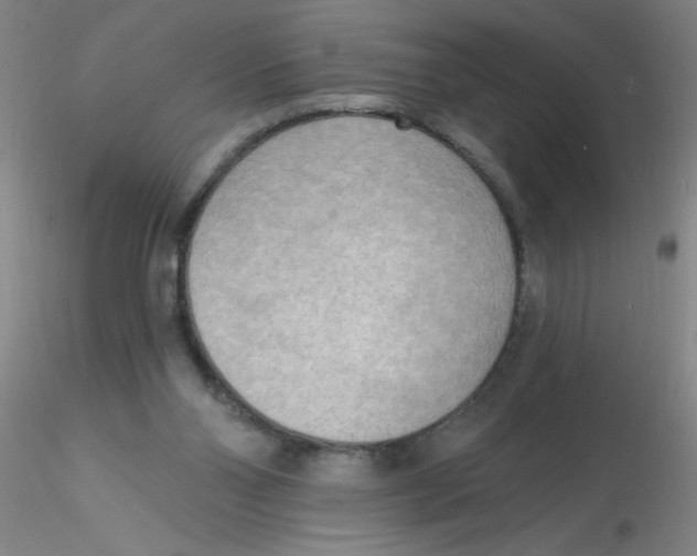 X0000116300110200912211910