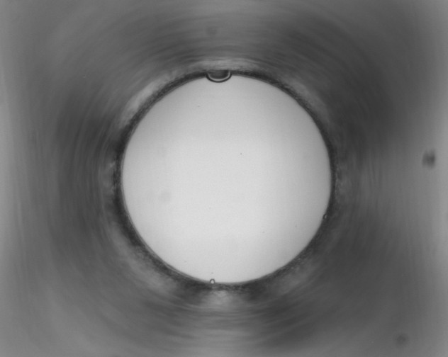 X0000116300111200912211910