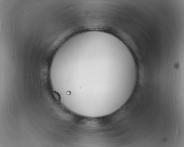 X0000116300113200912211910