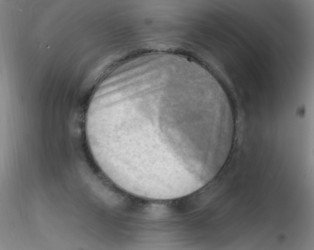 X0000116300114200912211910