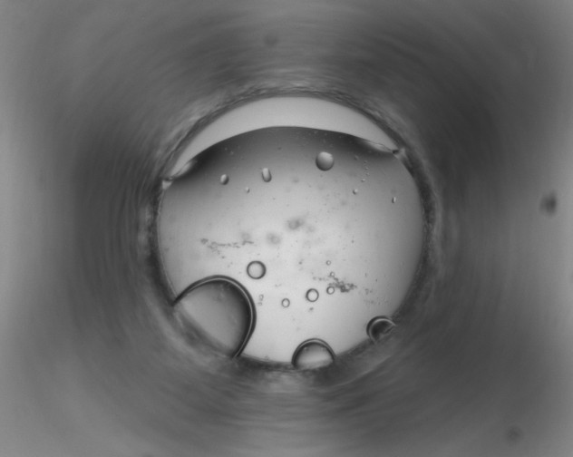 X0000116300115200912211909