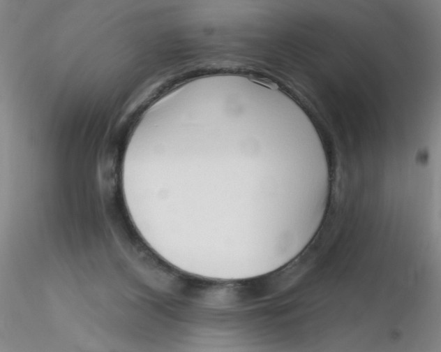 X0000116300116200912211909