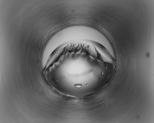 X0000116300117200912211909