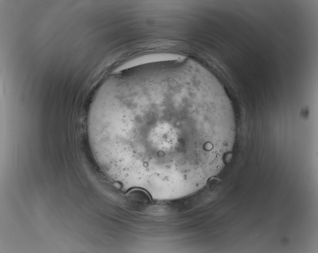 X0000116300119200912211909