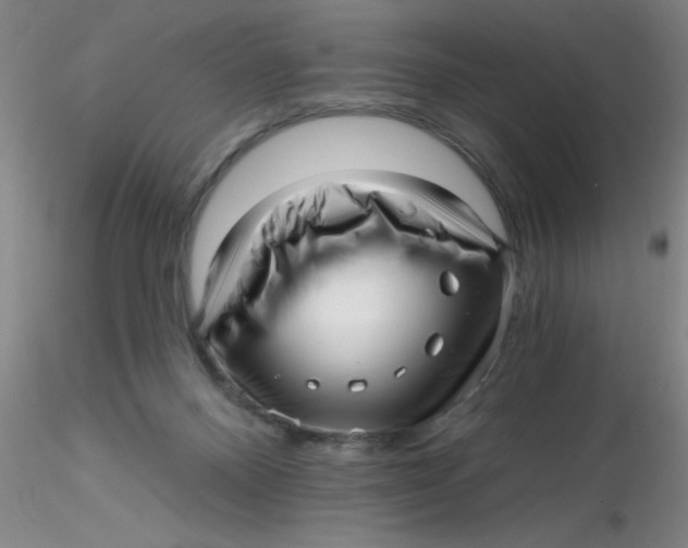 X0000116300120200912211909