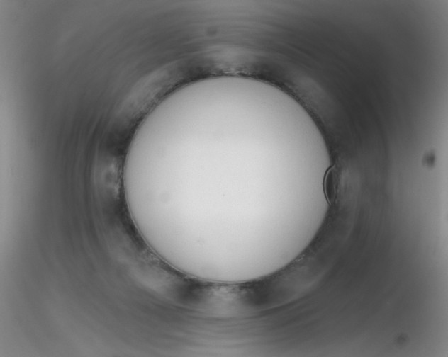 X0000116300121200912211909