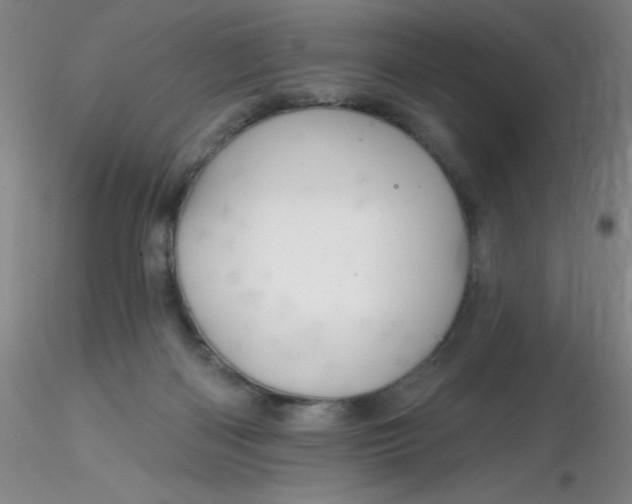 X0000116300122200912211909