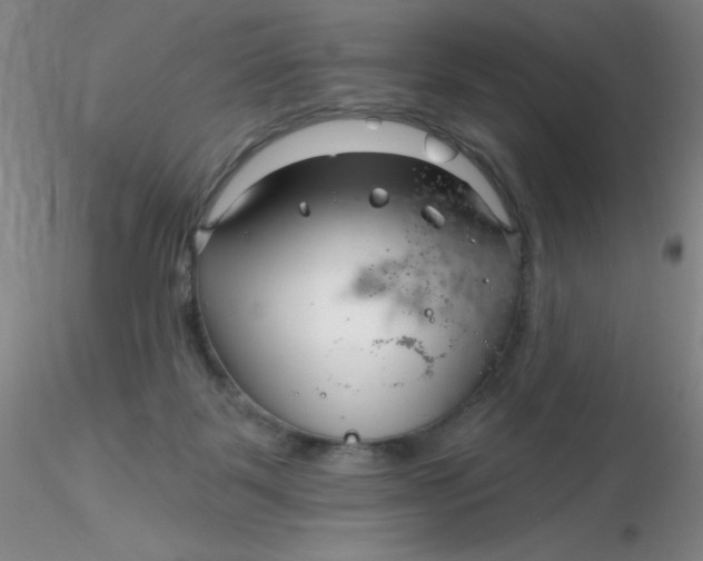 X0000116300123200912211909