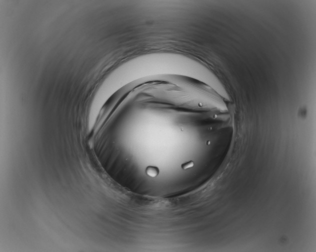 X0000116300124200912211909