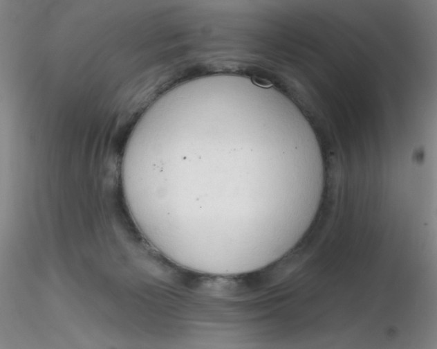 X0000116300125200912211909