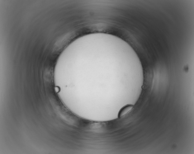 X0000116300126200912211909