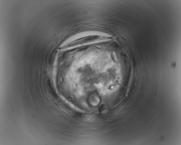 X0000116300127200912211909