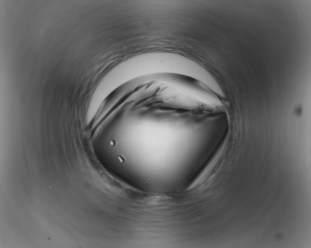 X0000116300128200912211909