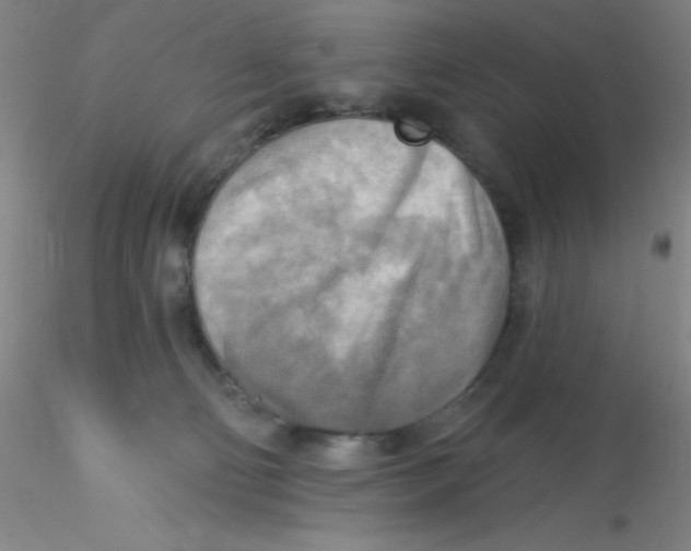 X0000116300130200912211909