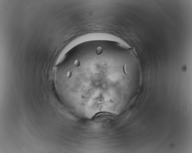 X0000116300131200912211909