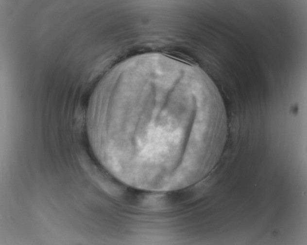 X0000116300132200912211909