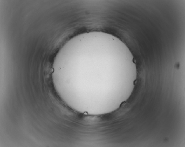 X0000116300133200912211909