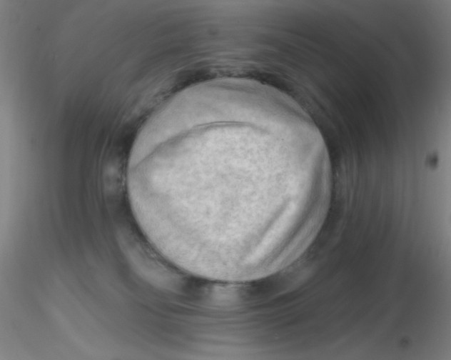 X0000116300134200912211909