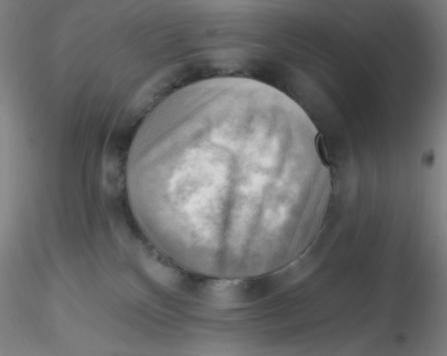 X0000116300136200912211909