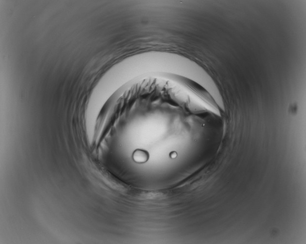 X0000116300137200912211909