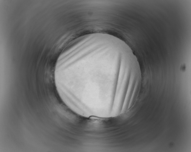 X0000116300140200912211909