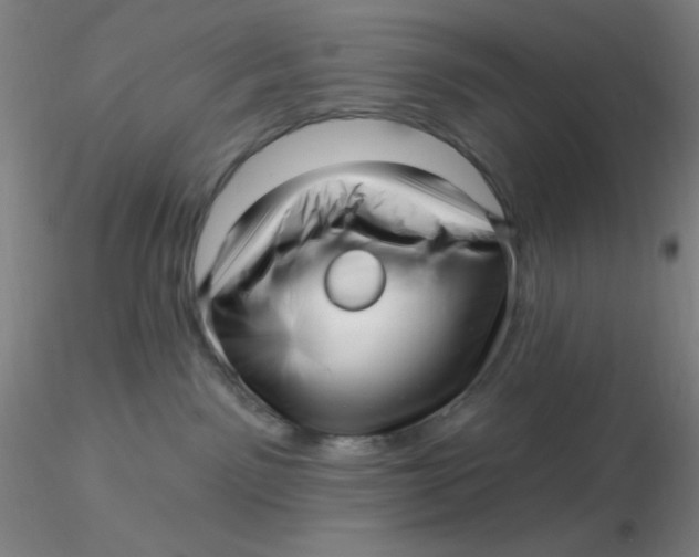 X0000116300141200912211909