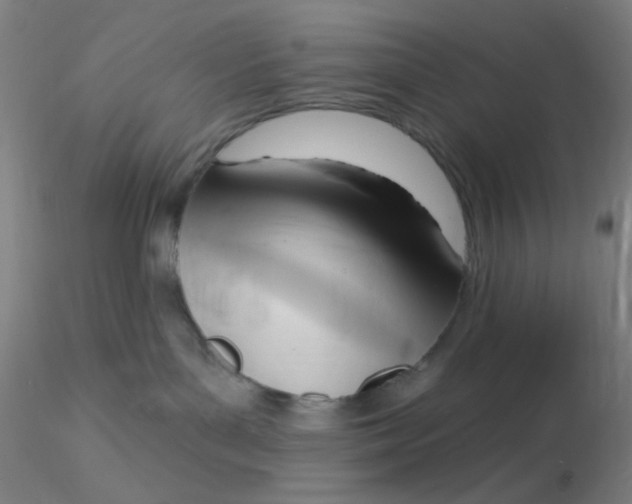 X0000116300143200912211909