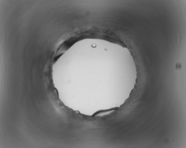 X0000116300144200912211909