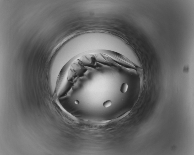 X0000116300146200912211908