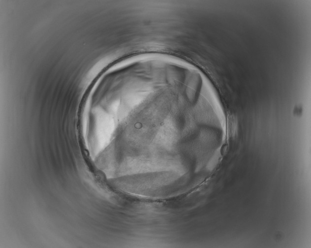 X0000116300147200912211908