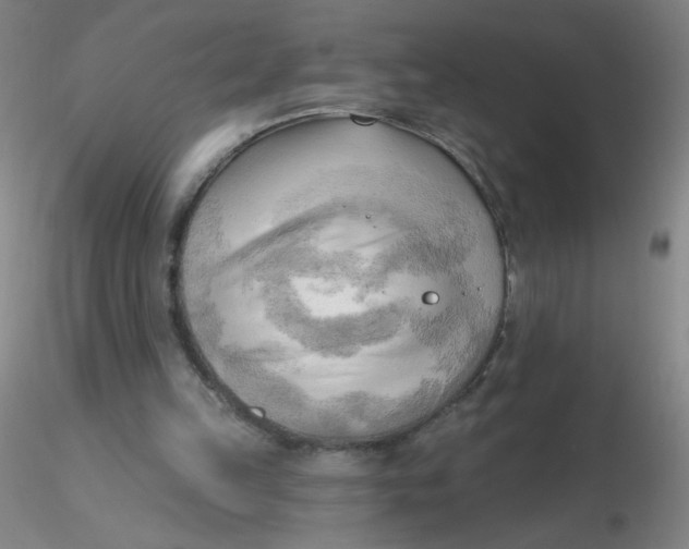 X0000116300149200912211908