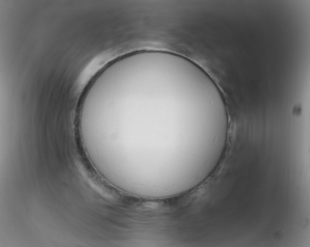 X0000116300151200912211909