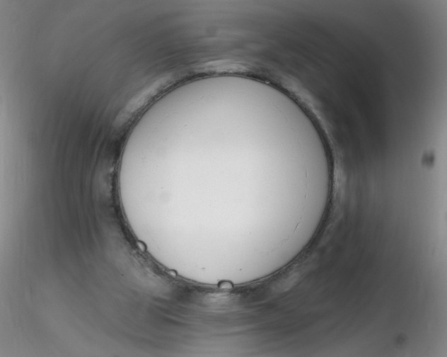 X0000116300153200912211909