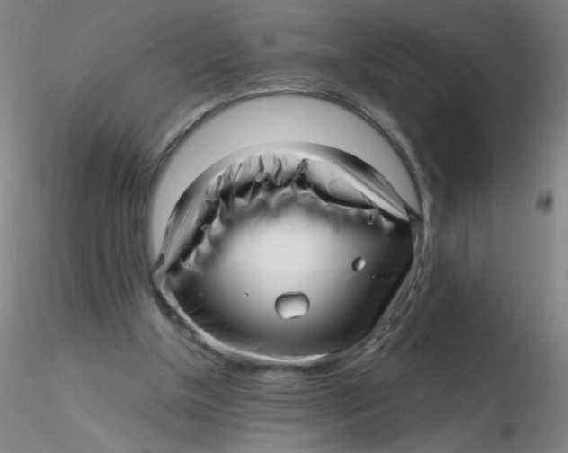 X0000116300154200912211909