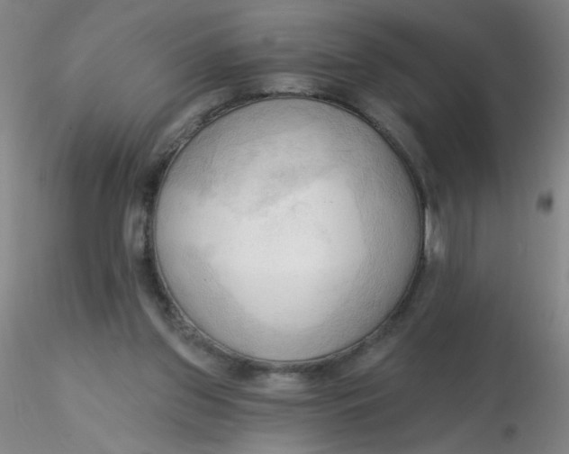 X0000116300157200912211909