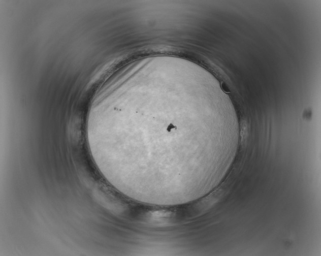 X0000116300158200912211909