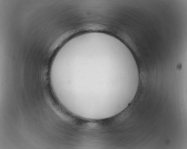 X0000116300159200912211909