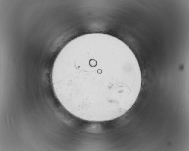 X0000116300162200912211909