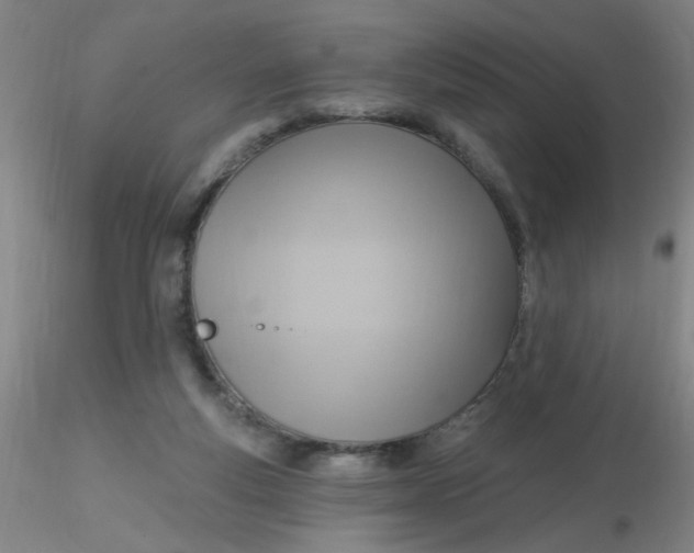 X0000116300163200912211909