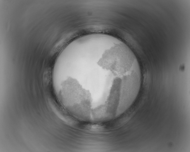 X0000116300165200912211909