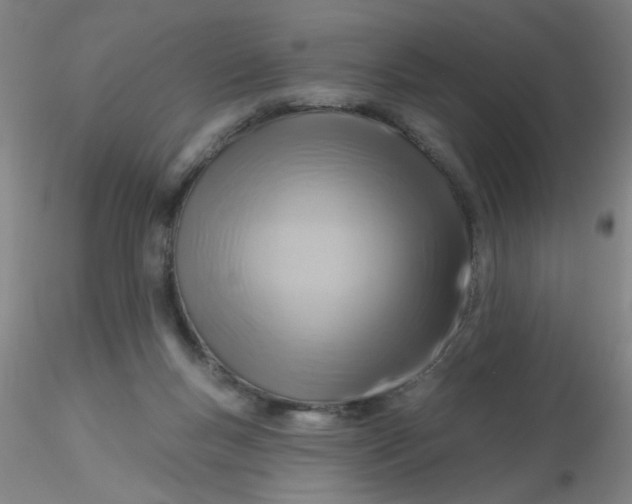 X0000116300167200912211909