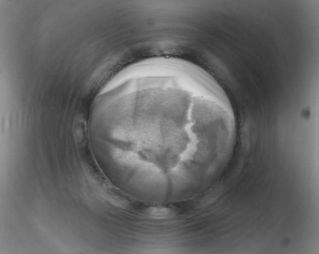 X0000116300169200912211909