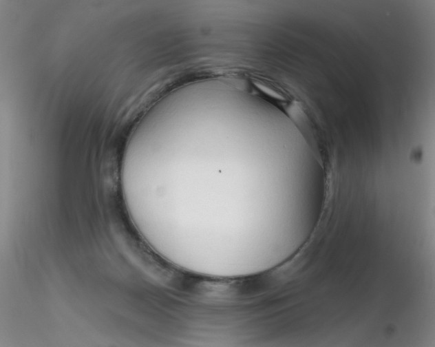 X0000116300170200912211909