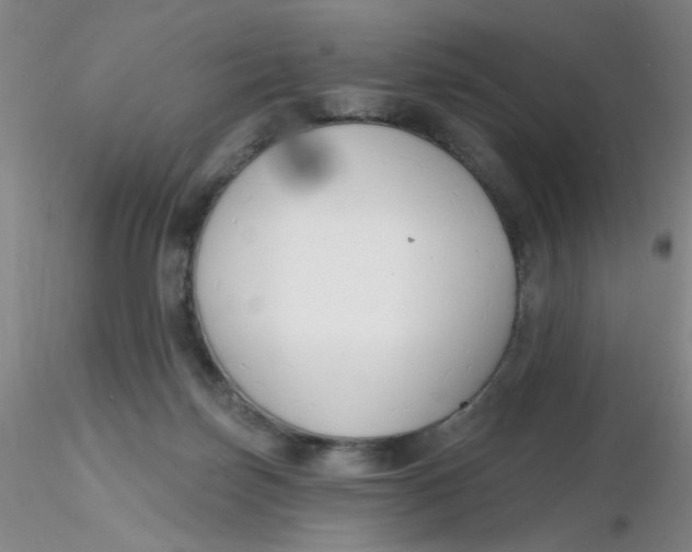 X0000116300171200912211909