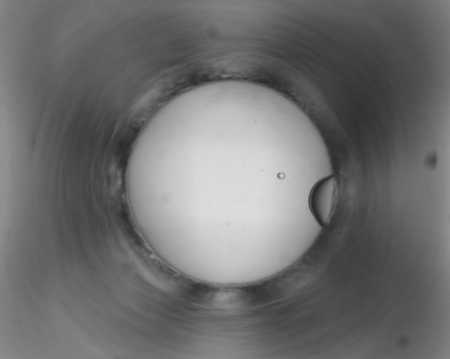 X0000116300173200912211909